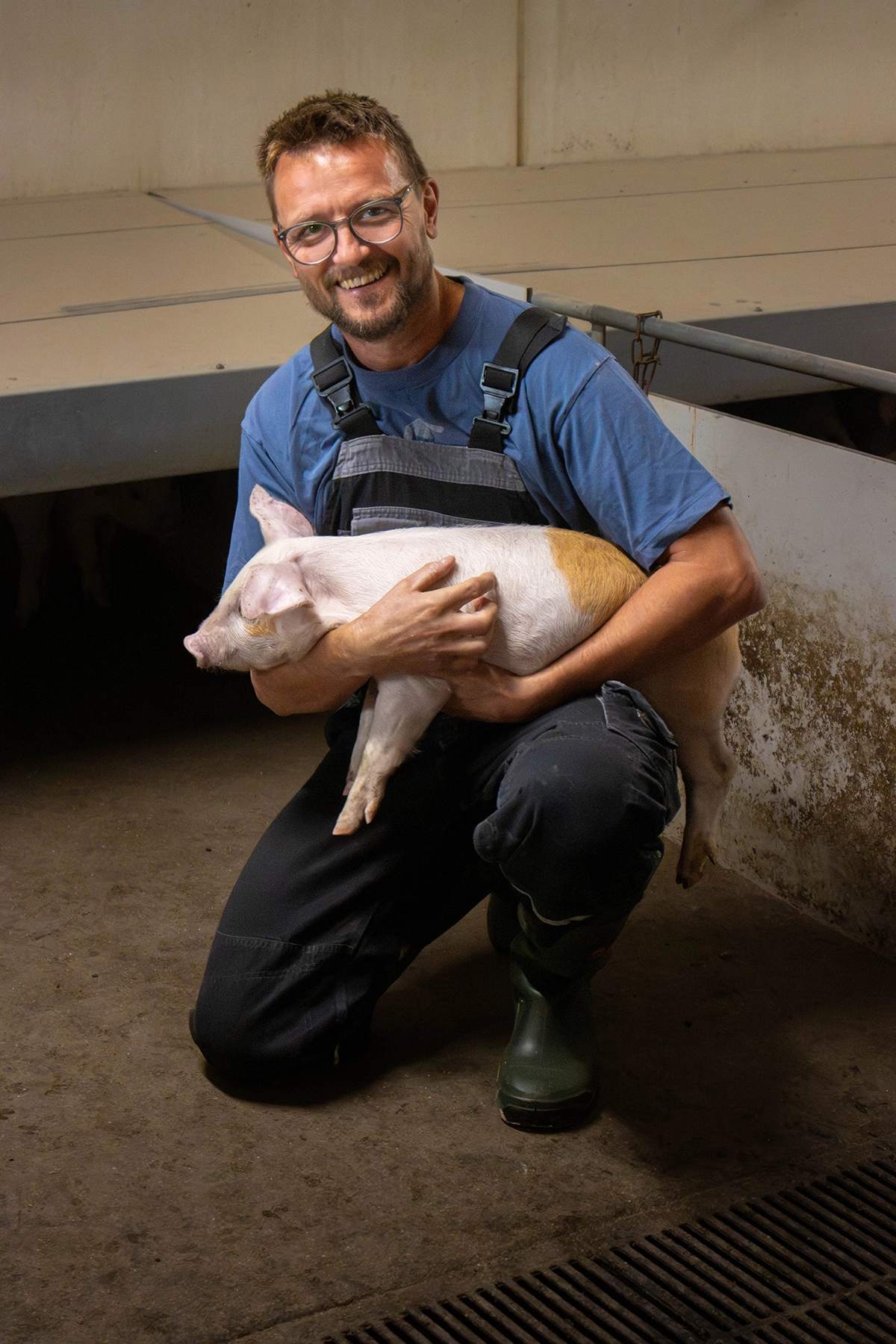 Turning Pig Weight Data into Better Production Decisions 