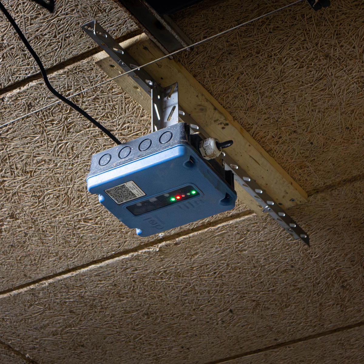 Turning Pig Weight Data into Better Production Decisions 