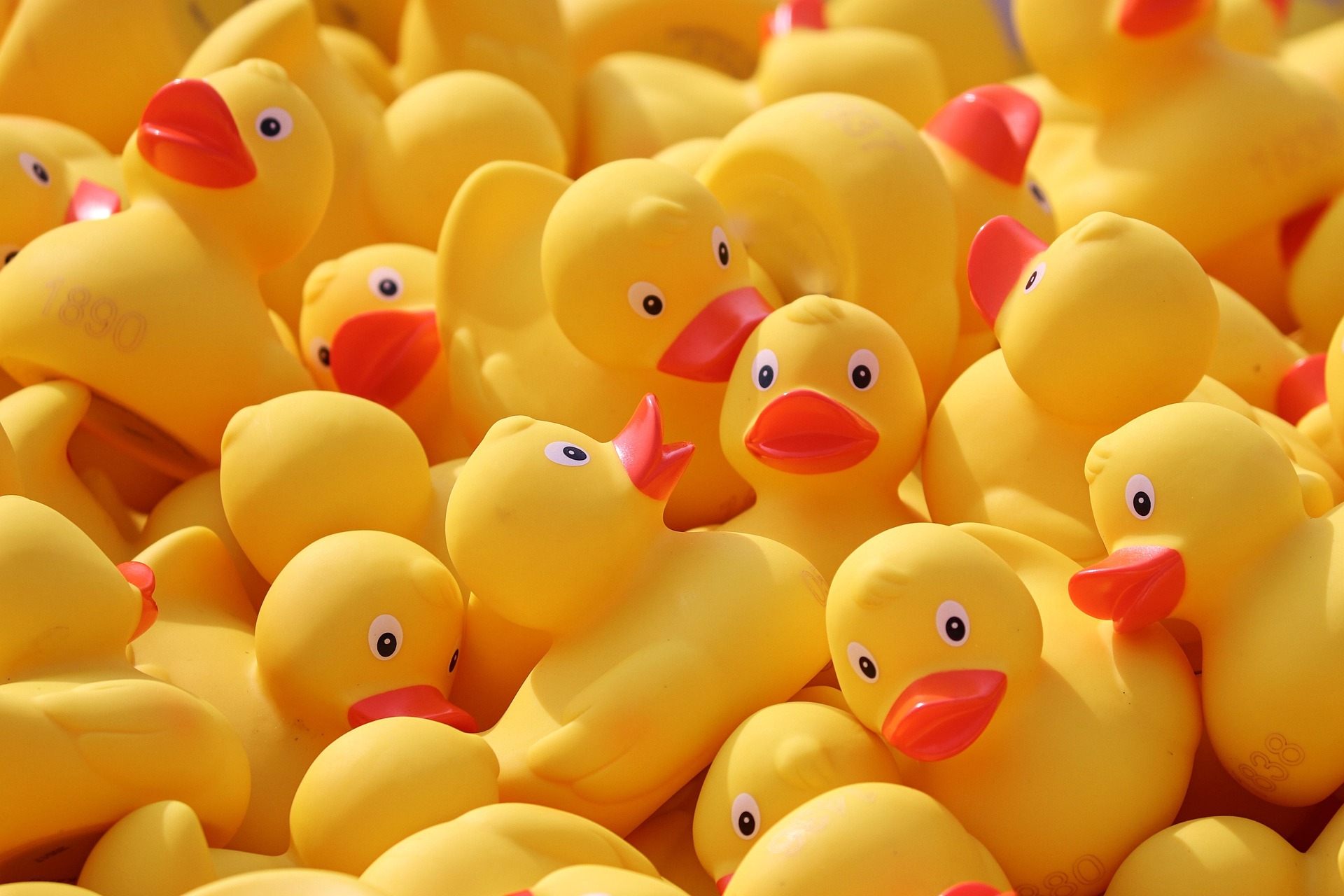 Pensions, Death, and Tax: Time to Get Your Ducks in a Row
