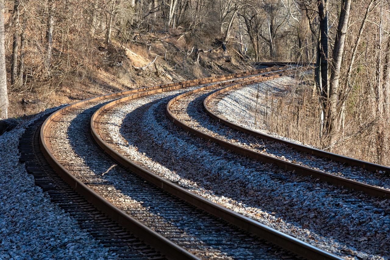 Railway tracks curving through woodland, representing the start of a new VEVE investment cycle.