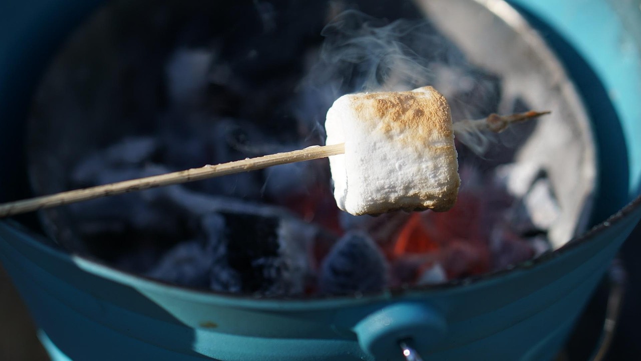 A marshmallow being toasted over hot coals, representing the choice between immediate reward and waiting for something better later.