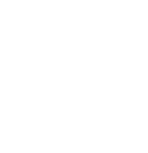 PLUSnxt Icon