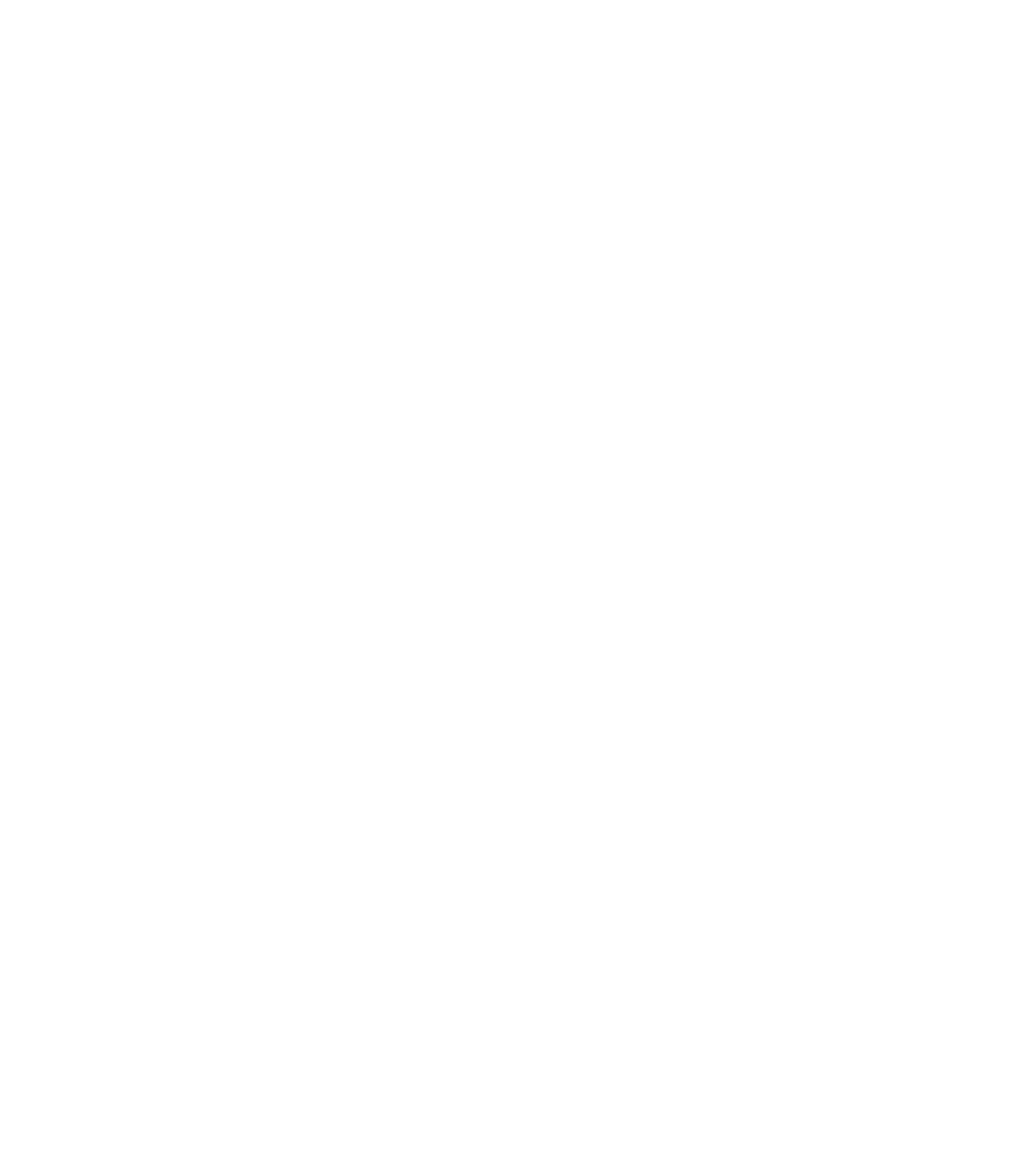 PLUSnxt Icon