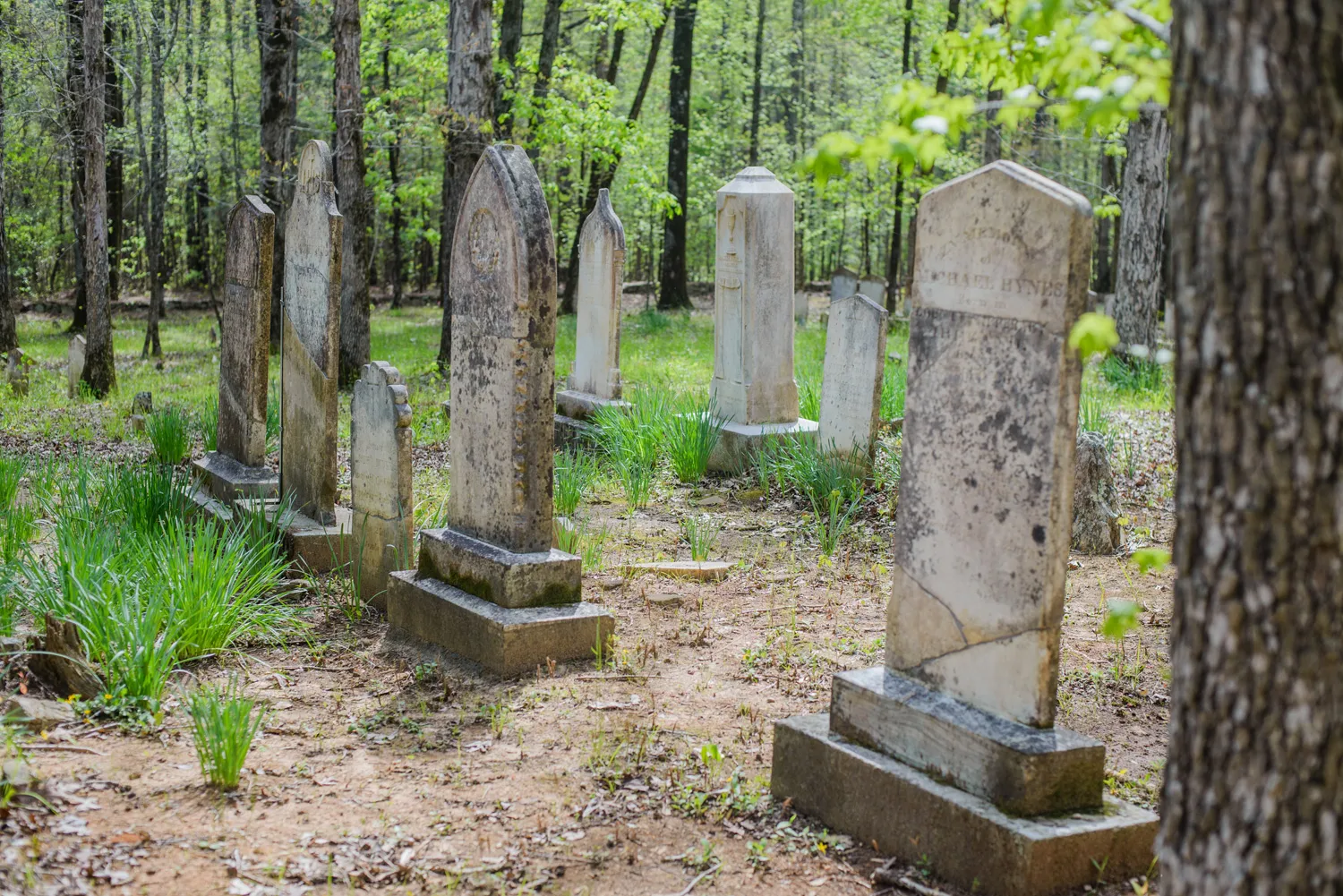 Jubilee 2025: Pilgrims of Hope