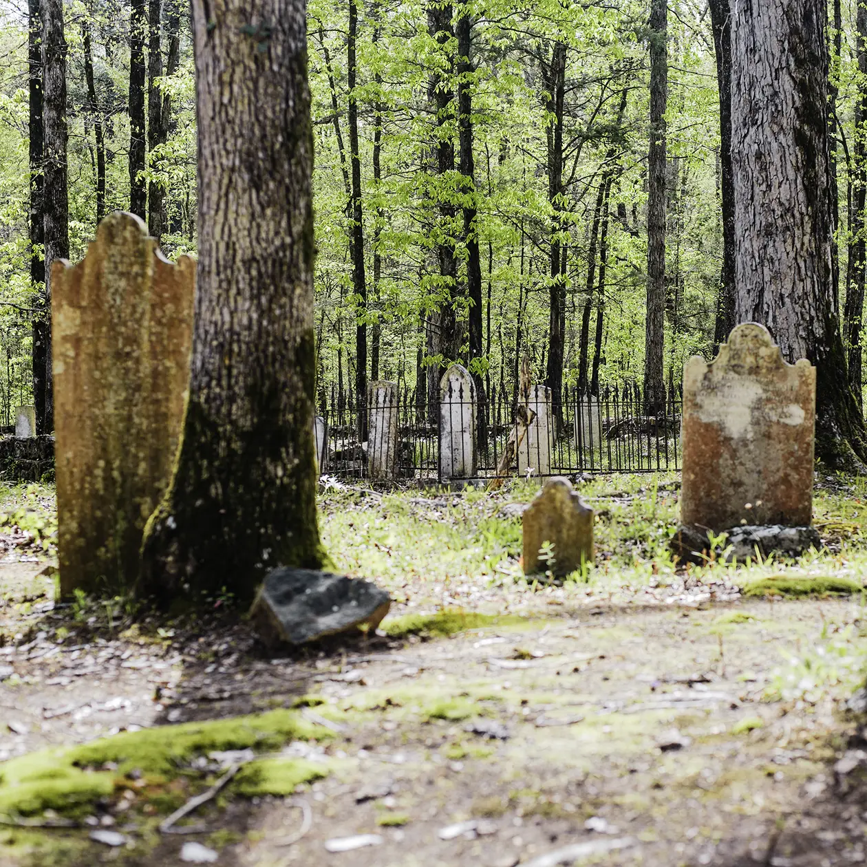 Humble Roots of Catholic Georgia