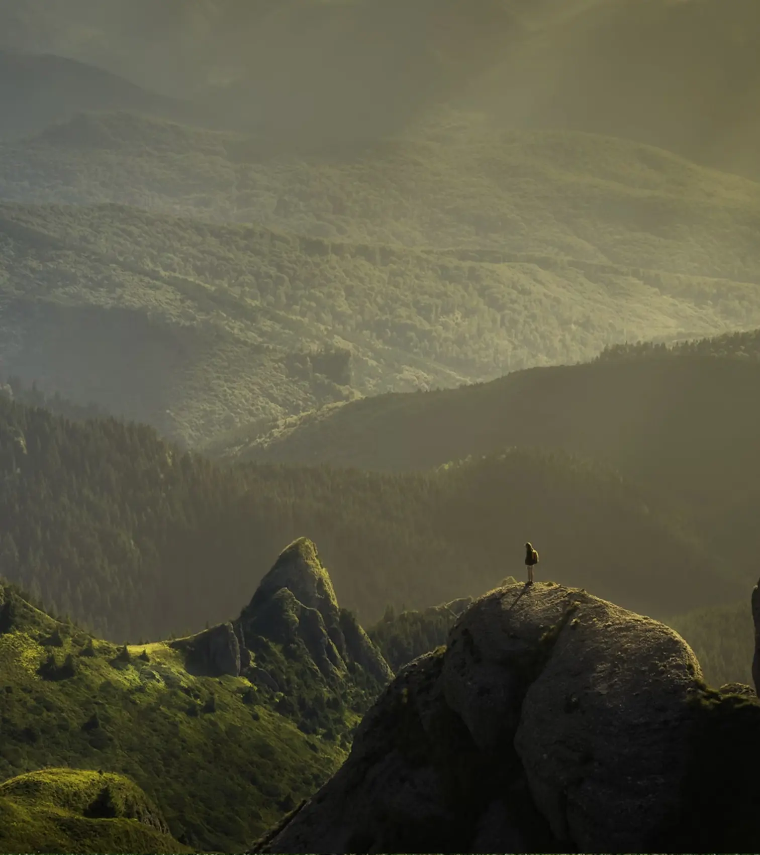 Leadspace Image Information