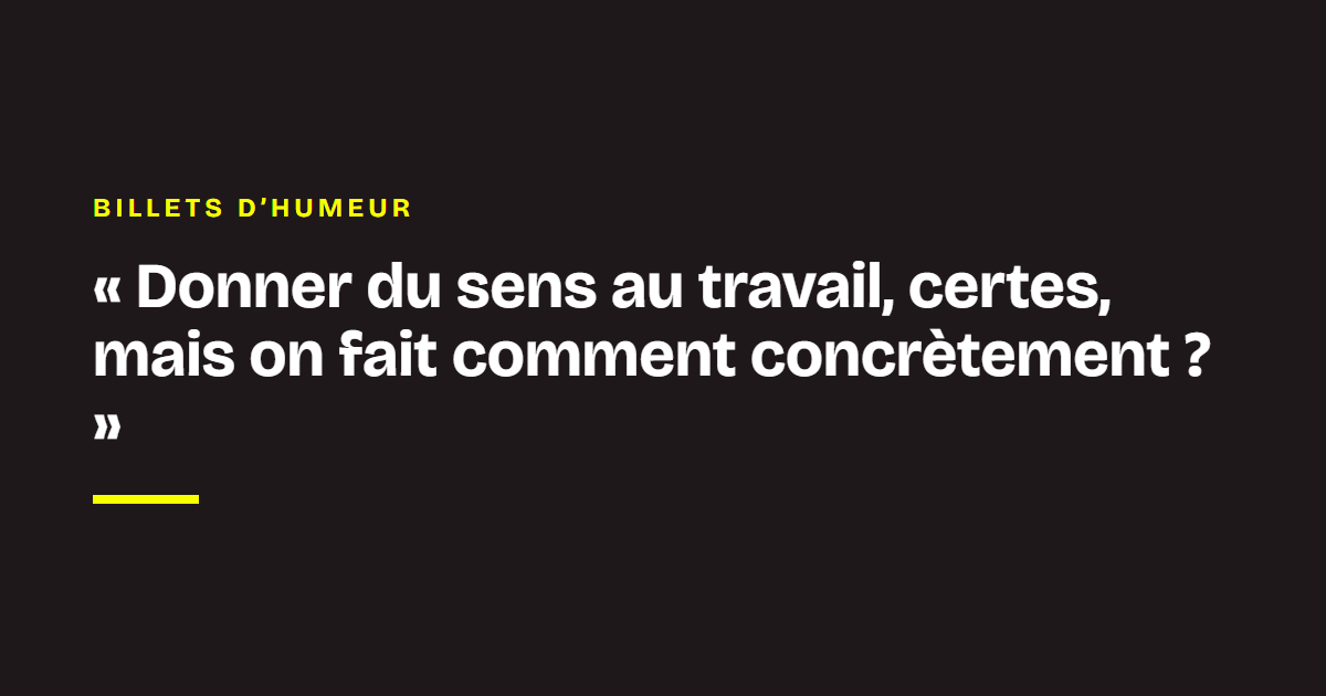 Billet d'humeur de Ludovic de Gromard : « Donner du sens au travail, certes, mais on fait comment concrètement ? »