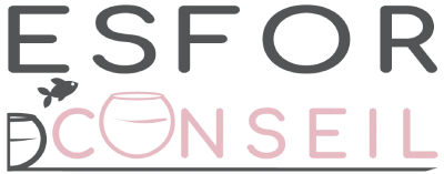 ESFOR Conseil