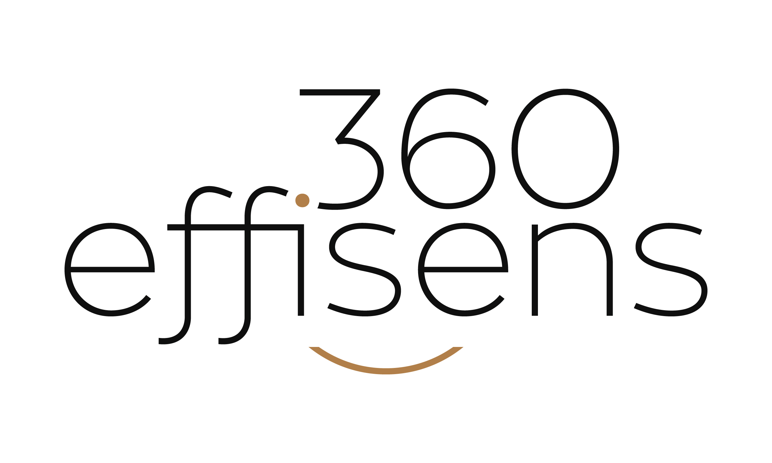 360Effisens