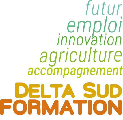 Delta Sud Formation