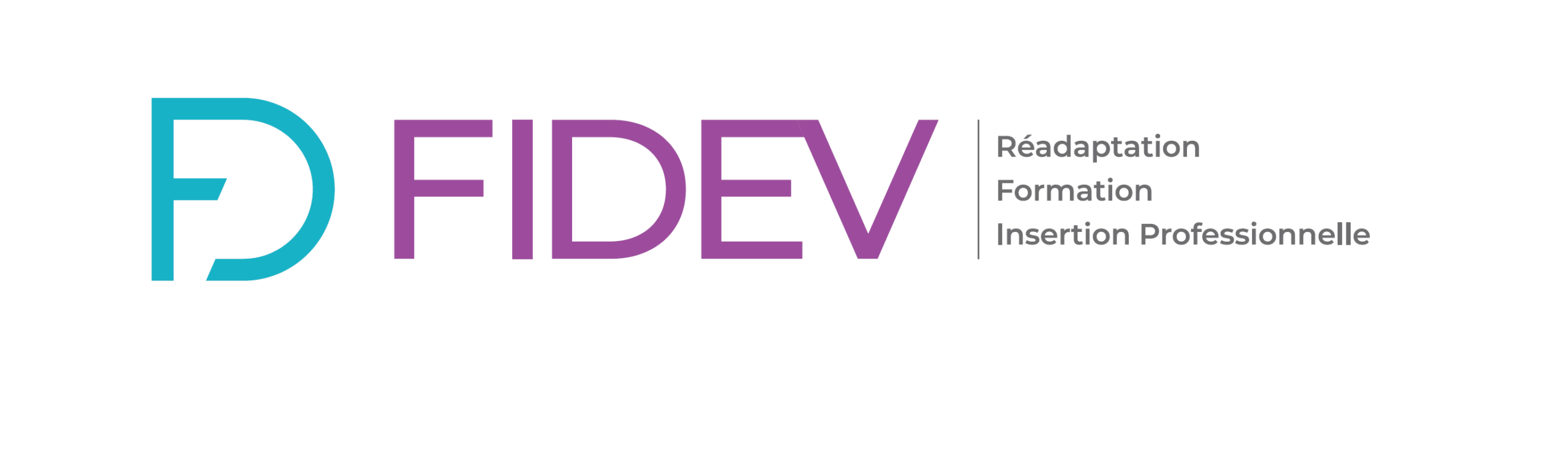 Formation et Insertion Deficient Visuel