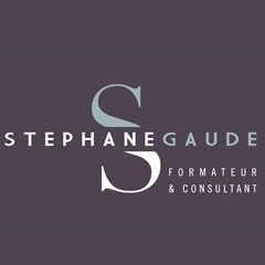 Gaude Stéphane Jean-l Formation Continue d'Adultes