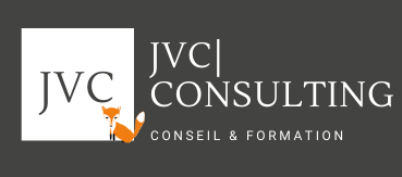 Joly Vanessa Dominiq Conseil en Entreprise