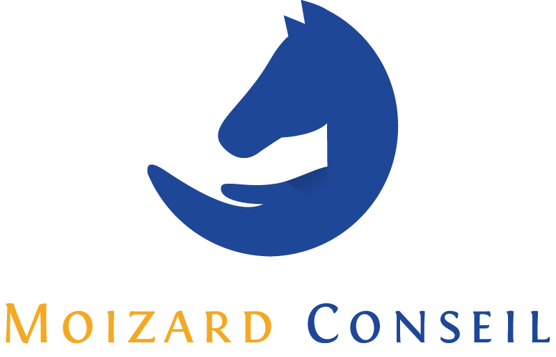 Moizard Violaine Conseil et Formation Coaching