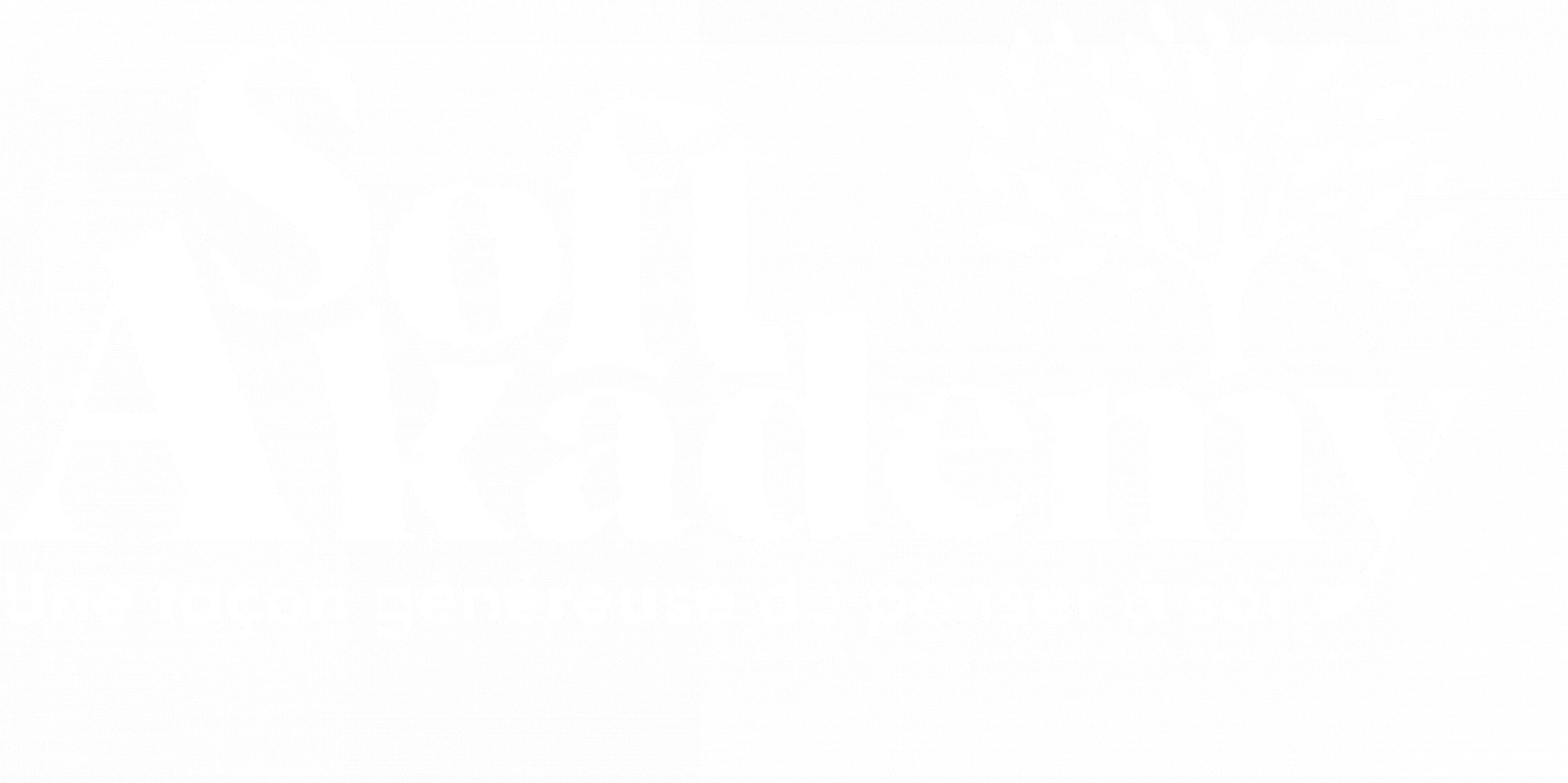 Soft Akademy