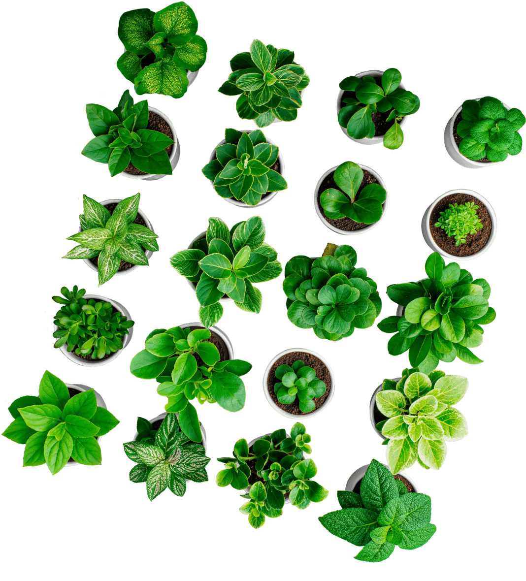 Subscribe To Get 15% Off - Store X Webflow Template