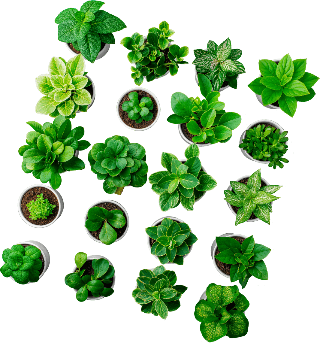 Subscribe To Get 15% Off - Store X Webflow Template