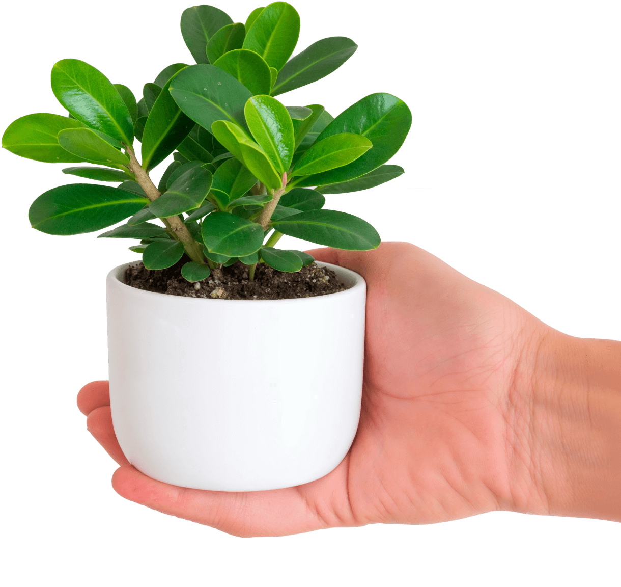 Transform Your Space Today - Store X Webflow Template