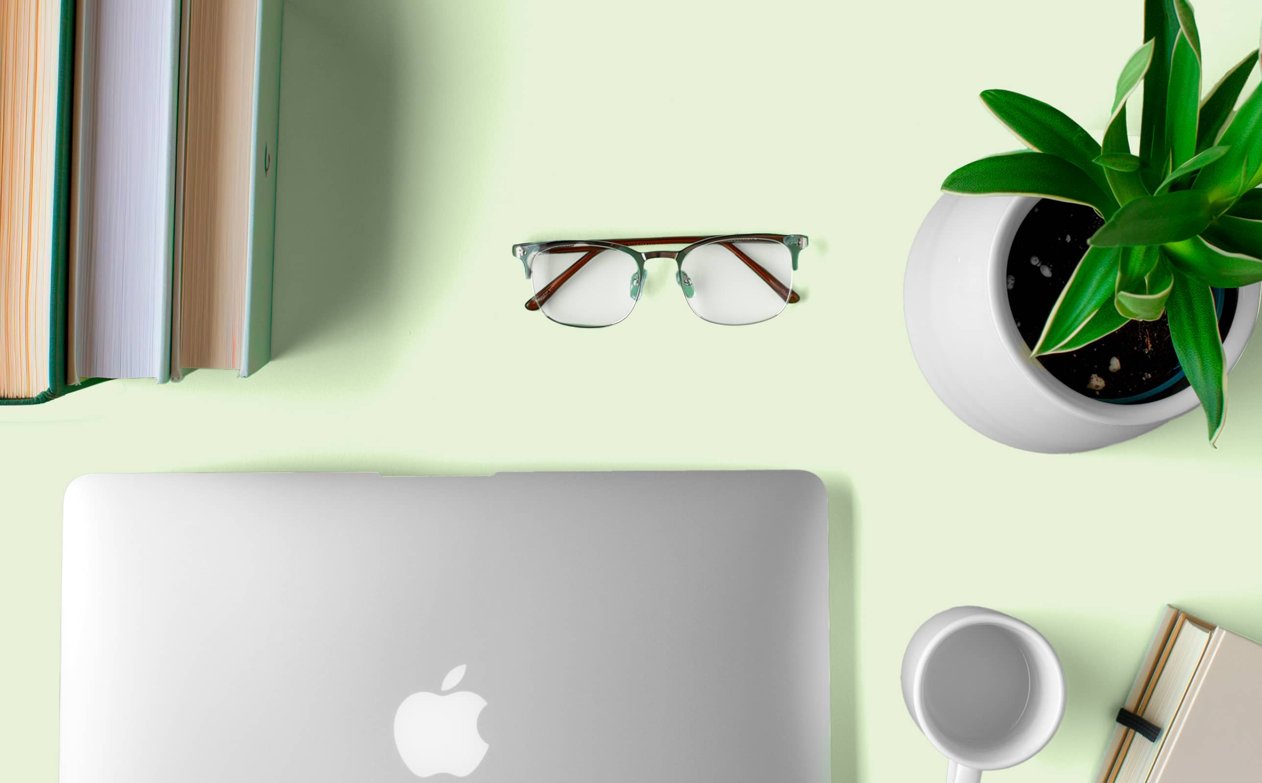 Transform your office with these low-maintenance office plants