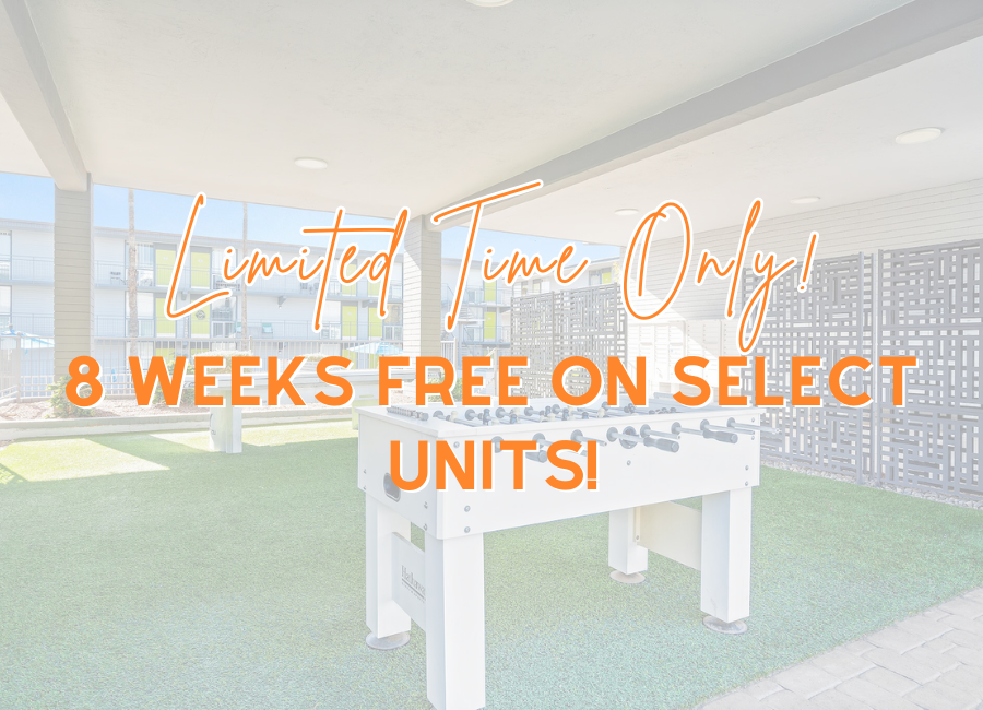 LIMITED TIME ONLY!!