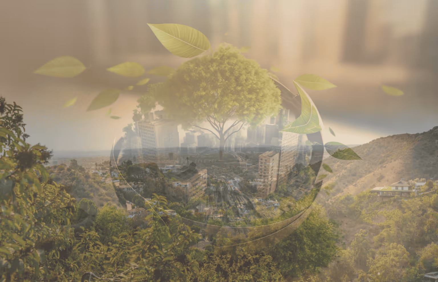 Understanding California’s Climate Accountability Package