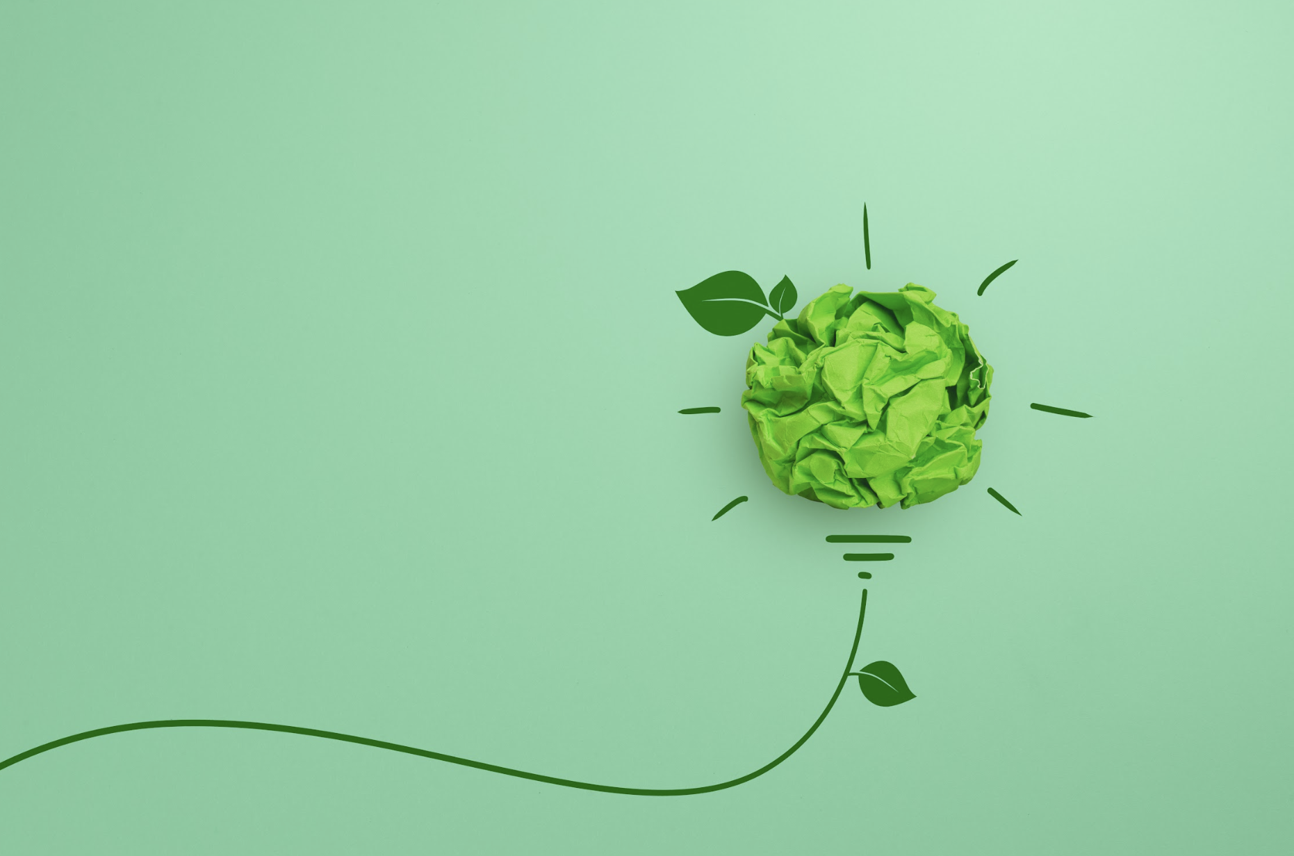 What is EcoVadis and What Value Does It Bring to Companies