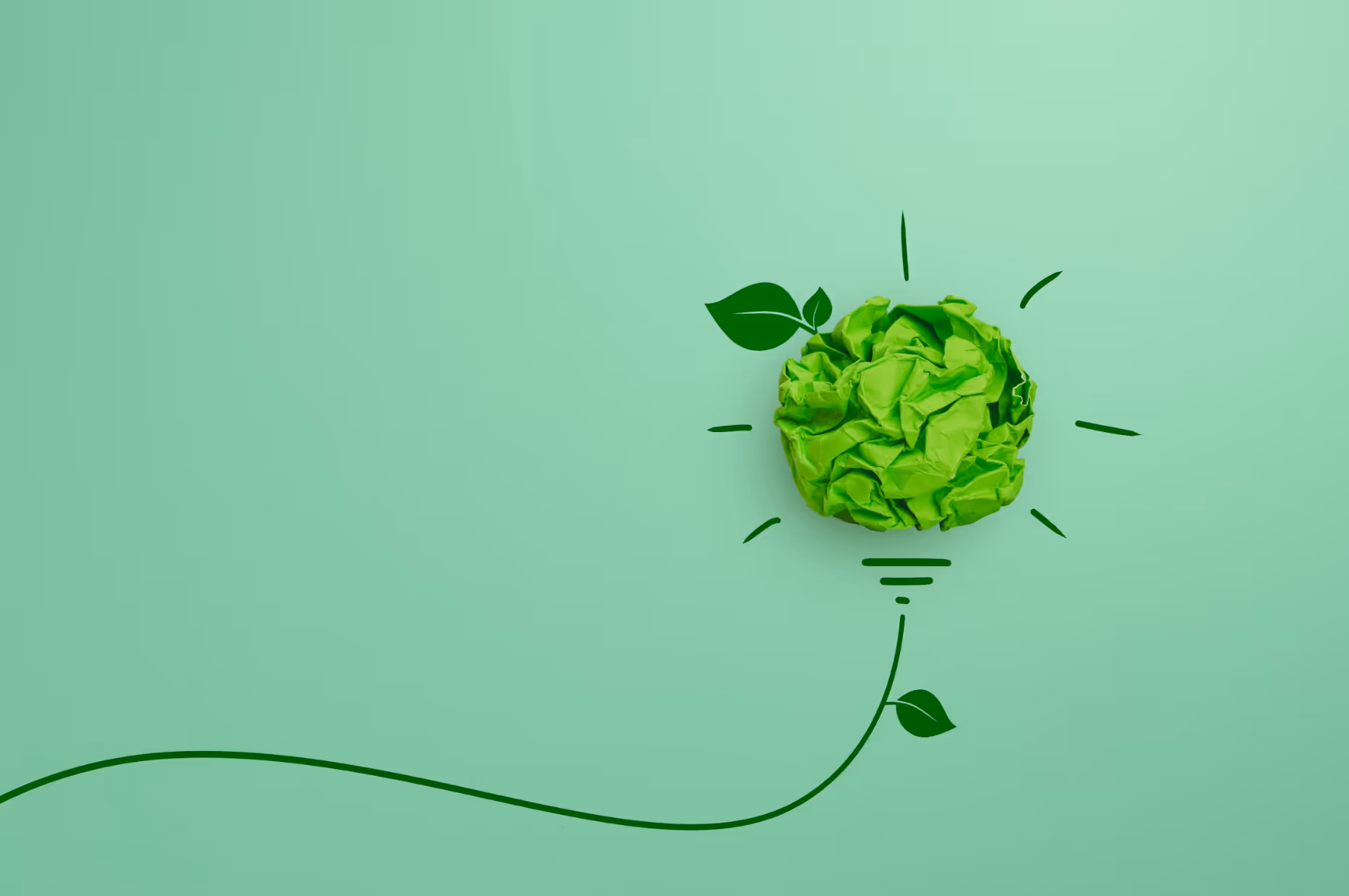 What is EcoVadis and What Value Does It Bring to Companies