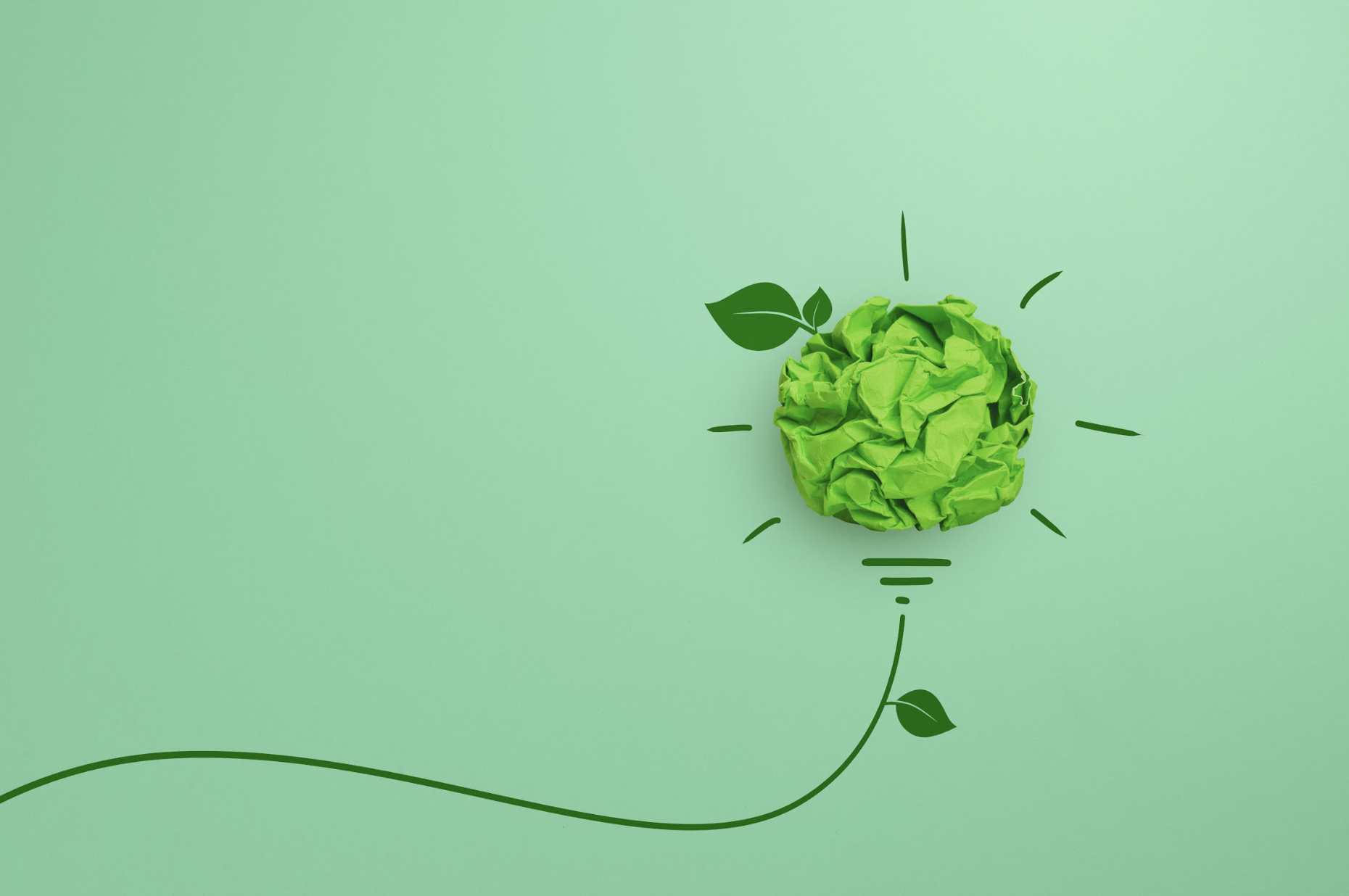 What is EcoVadis and What Value Does It Bring to Companies