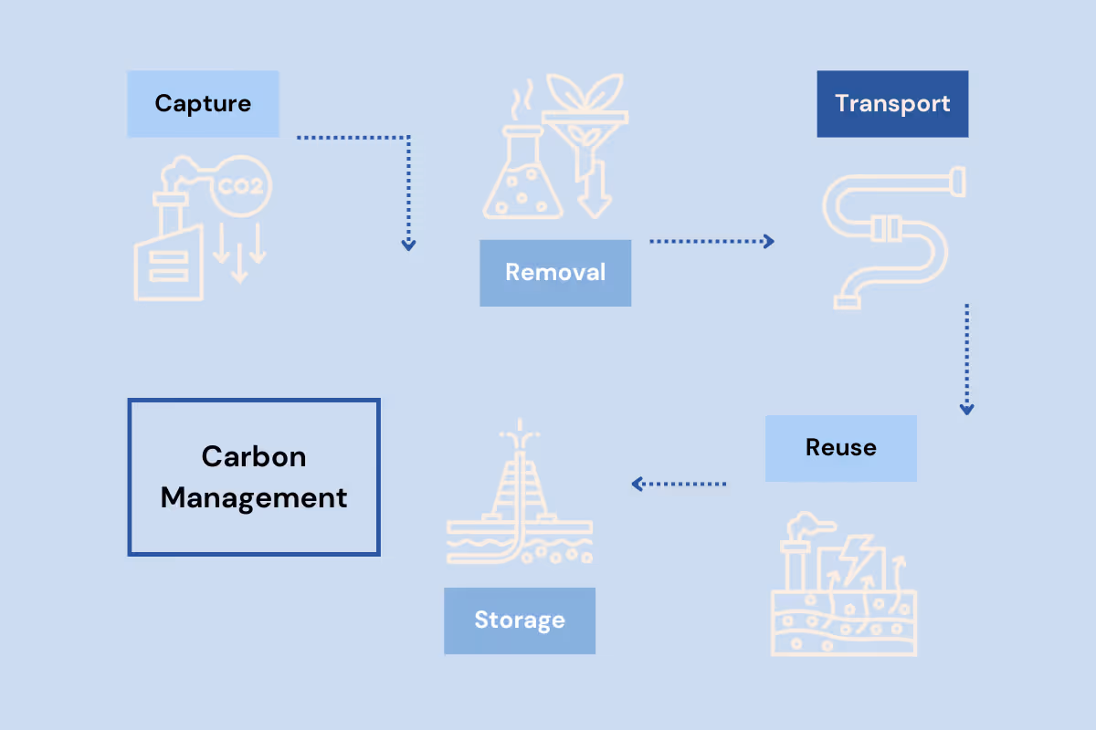 Infographic displaying the five technologies in carbon management