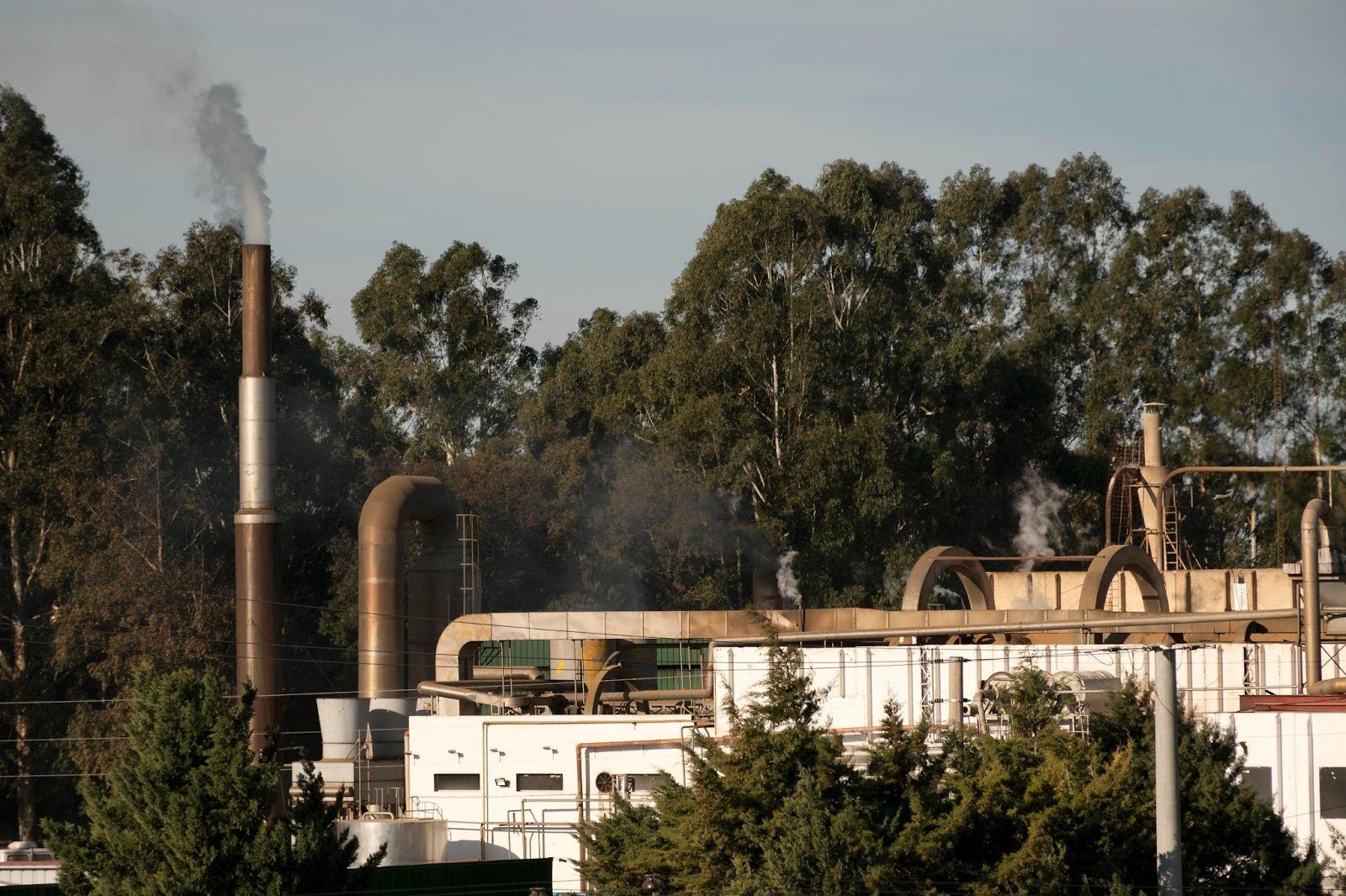 Pollution from a factory that is surrounded by green trees