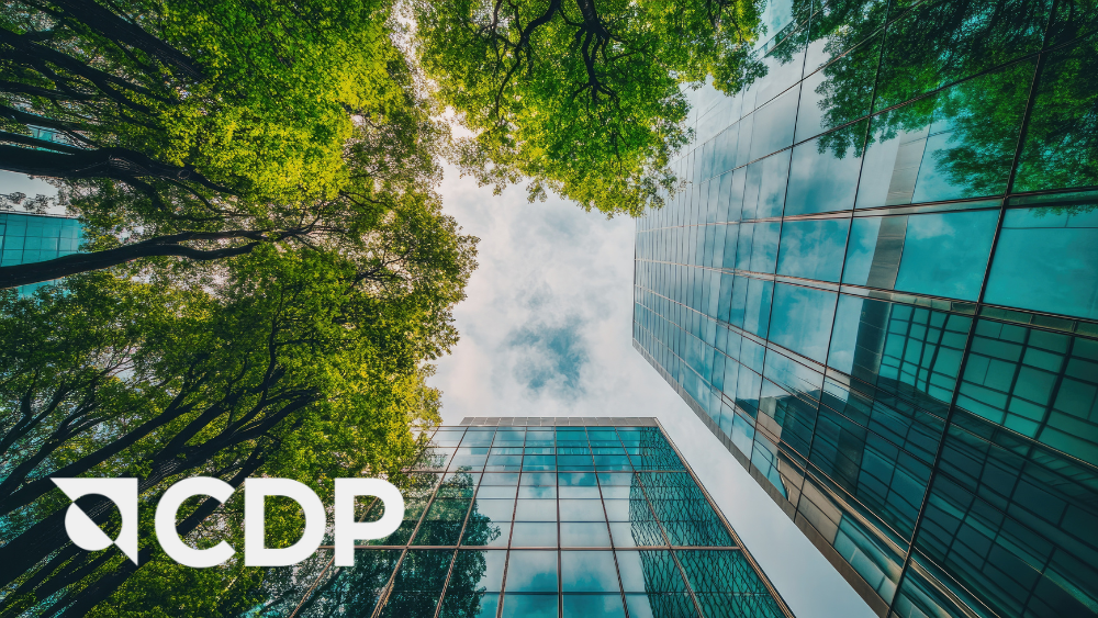 How to Improve Your CDP Process: CEMAsys’ Key Takeaways from CDP 2025
