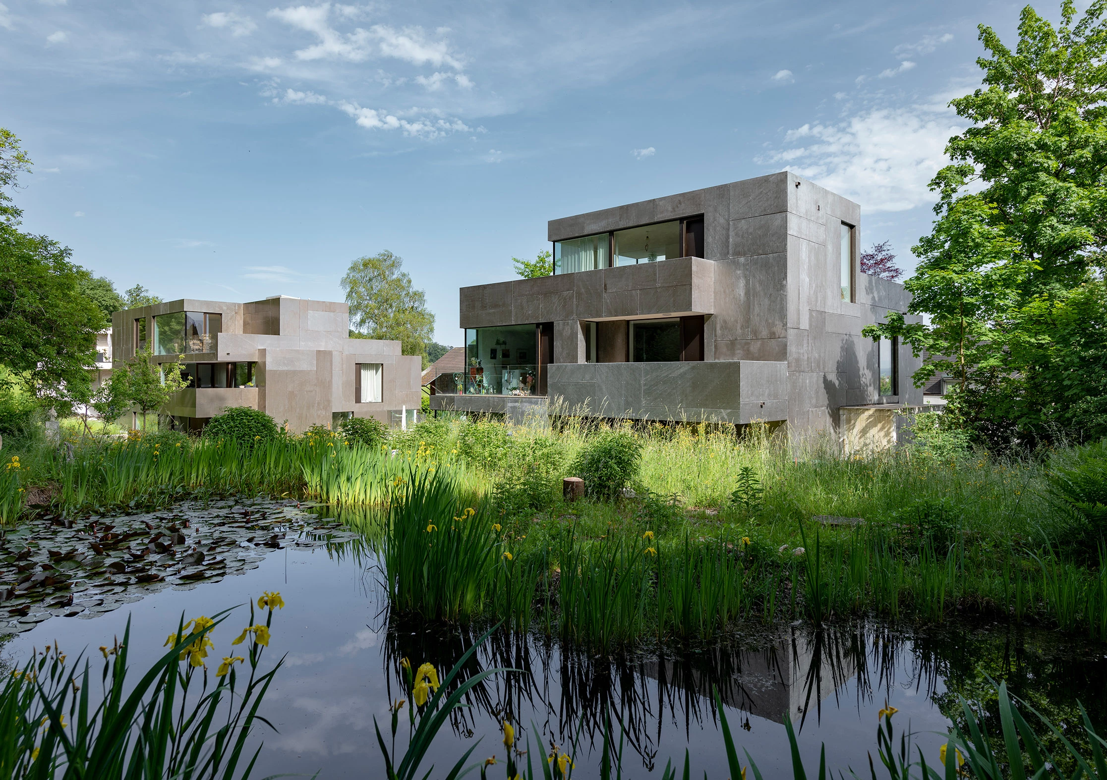 Moderne, kubistische Wohnhäuser aus Beton mit großen Fenstern neben einem Teich mit Seerosen und gelben Blumen im Gras.
