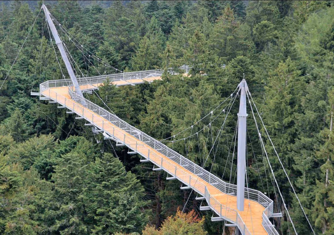 Seilbrücke über einem dichten Nadelwald mit Holzplanken und Metallgeländern.