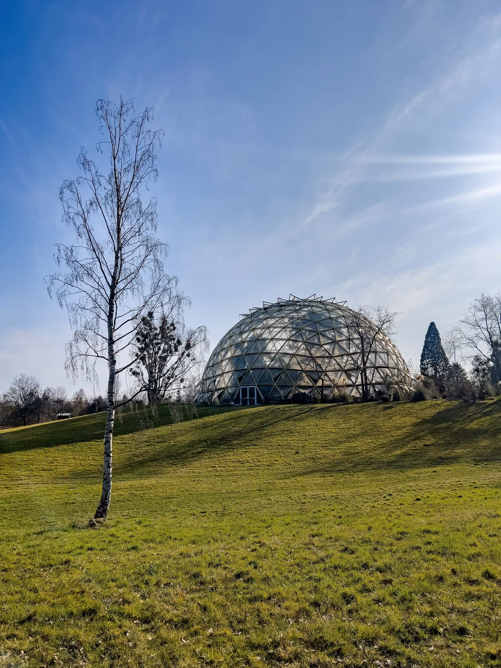 Glaskuppel-Gewächshaus auf einem grasbewachsenen Hügel mit kahlem Baum im Vordergrund und blauem Himmel.