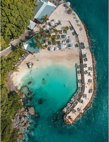 View framed by palm trees and lush vegetation on a white sandy beach and a turquoise water cove. An ideal setting for a luxury 5-star hotel by the sea in Sainte-Anne, Guadeloupe.