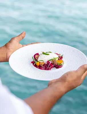 Hands holding a plate of refined dish with a white ball, red petals and green herbs, in front of a turquoise sea, representing the cuisine of a Creole restaurant by the sea in Guadeloupe. Analysis
