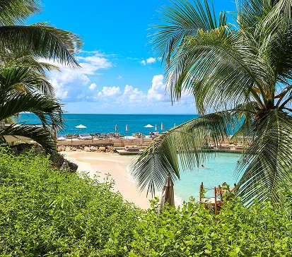 Plage et crique turquoise entourées de palmiers à La Toubana Hôtel & Spa, hôtel 5 étoiles à Sainte-Anne.