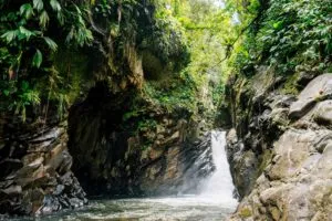 Cascade Forêt Tropicale