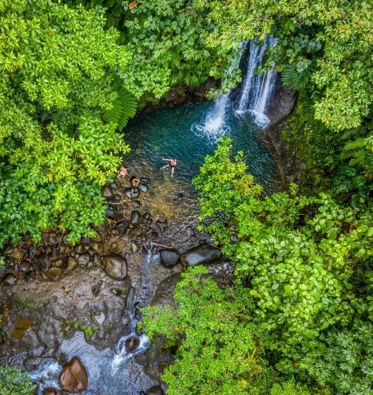 Excursion depuis La Toubana Hôtel & Spa, découverte des paysages paradisiaques de la Guadeloupe.
