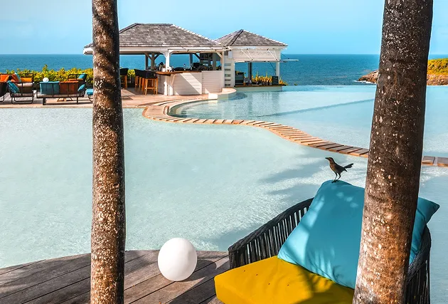 View framed by tree trunks of a turquoise infinity pool with a wooden path leading to seafront pavilions and the ocean on the horizon, ideal for a 5-star luxury hotel in Guadeloupe.