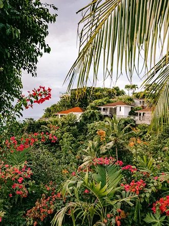 Lush view of villas with red roofs nestled on a verdant hill dotted with bright red flowers and palm trees, suggesting a luxury villa overlooking the sea in Guadeloupe.