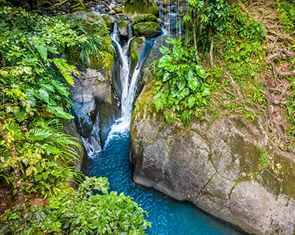 Excursions et découvertes en Guadeloupe organisées par La Toubana Hôtel & Spa, entre aventure et luxe aux Caraïbes.