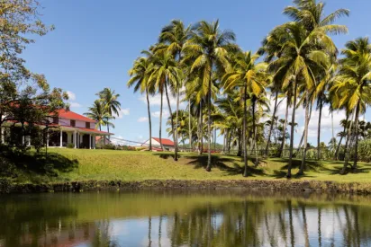 Immersion entre forêt tropicale et saveurs créoles avec La Toubana Hôtel & Spa, expérience authentique en Guadeloupe.