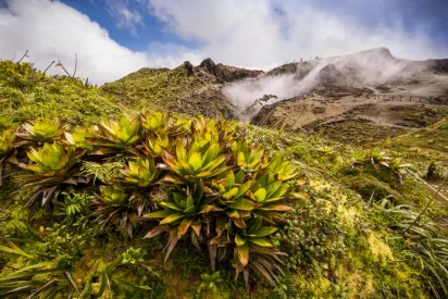 Ascension de la Soufrière avec La Toubana Hôtel & Spa, randonnée volcanique au sommet de la Guadeloupe.