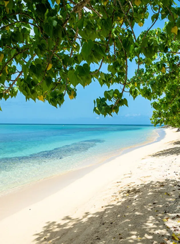 La Toubana Hotel & Spa: top beaches in Grande-Terre