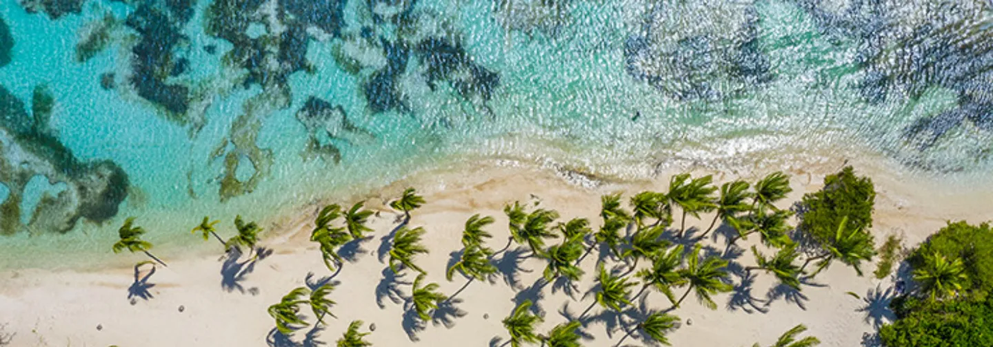 White sandy beach and turquoise sea in Tamarin, framed by blossoming Flamboyant branches.