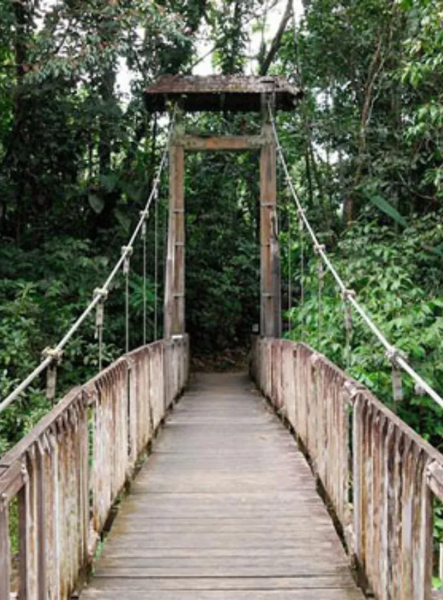 The 10 essential things to do in the Islands of Guadeloupe