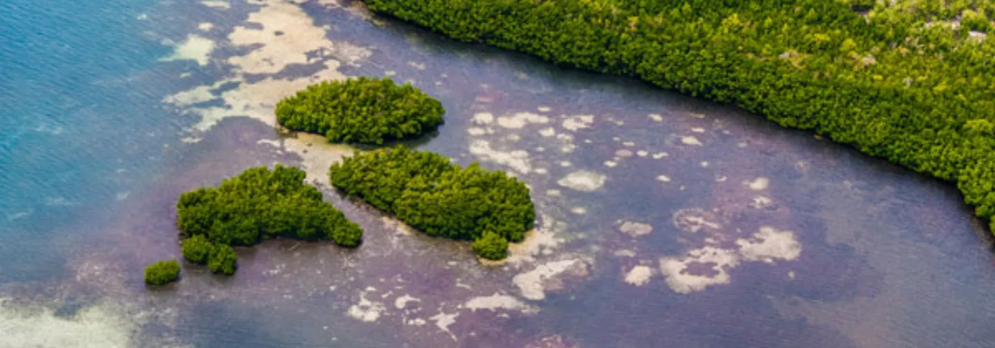 Spectacular aerial view of islands in Mauritius from a tourist plane.