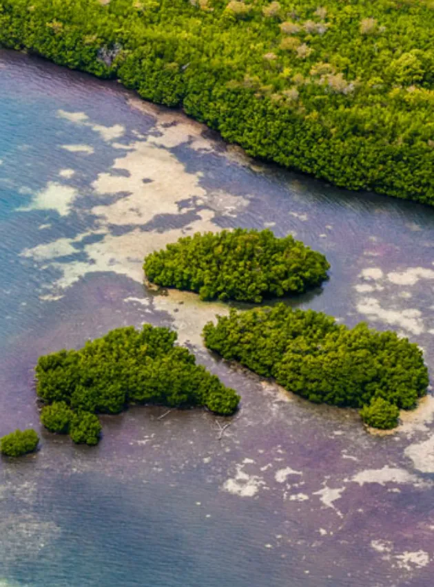Grand Cul-de-Sac Marin: an ecological treasure in the heart of the Caribbean