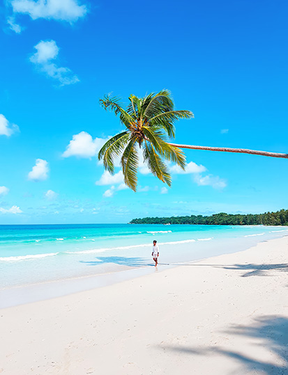 Homme marchant sur une plage paradisiaque des Caraïbes sous un palmier, visuel promotionnel Cyber Monday jusqu’à -10 % de réduction à la Toubana Hôtel & Spa